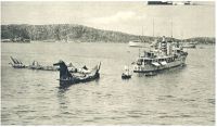 oz341504.jpg