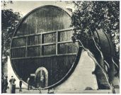 oz341506.jpg