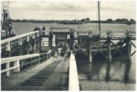 oz341508.jpg