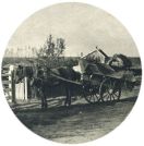 oz341509.jpg