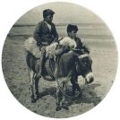 oz341531.jpg