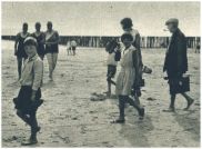 oz341533.jpg