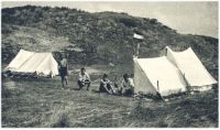 oz341534.jpg