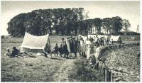 oz341536.jpg