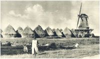 oz341552.jpg