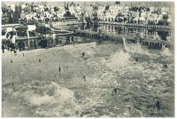 oz341556.jpg