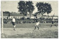 oz341558.jpg
