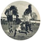 oz341559.jpg
