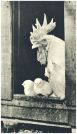 oz341578.jpg