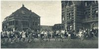 oz341579.jpg