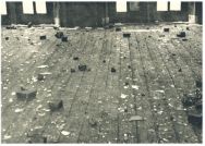 oz341585.jpg