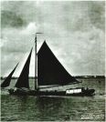 oz341601.jpg