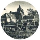 oz341610.jpg