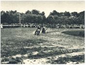 oz341638.jpg