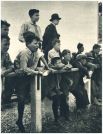 oz341639.jpg
