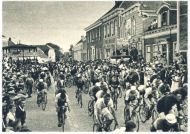 oz341678.jpg