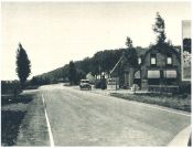 oz341732.jpg