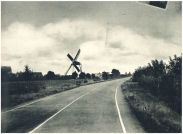 oz341740.jpg