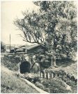 oz341751.jpg