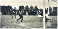 oz341767.jpg
