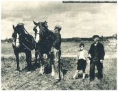 oz341774.jpg