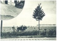oz341810.jpg