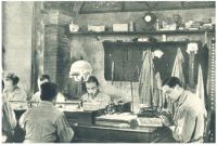 oz341813.jpg