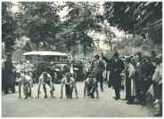oz341819.jpg