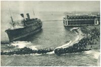 oz341824.jpg