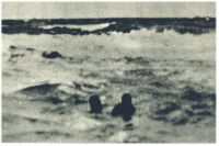 oz341827.jpg