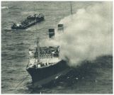 oz341828.jpg