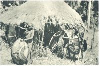 oz341839.jpg