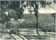 oz341845.jpg