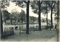 oz341848.jpg