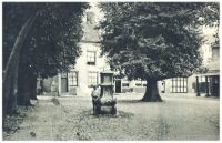oz341850.jpg