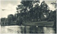 oz341853.jpg