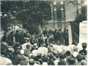 oz341863.jpg