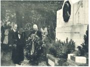 oz341865.jpg