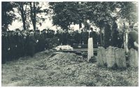 oz341868.jpg