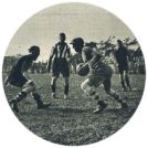 oz341882.jpg