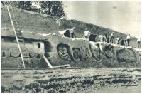 oz341885.jpg