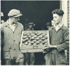 oz341889.jpg