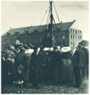oz341908.jpg