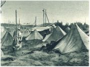 oz341914.jpg
