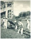 oz341915.jpg