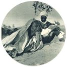 oz341919.jpg