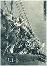oz341922.jpg