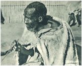 oz341926.jpg