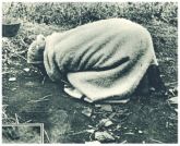 oz341928.jpg