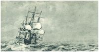 oz341931.jpg